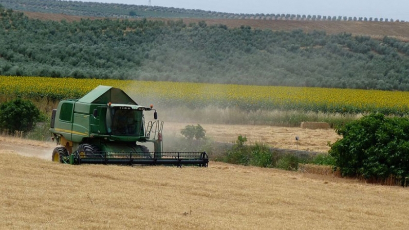 Ejemplo de cómo actuar: Cómo los agricultores franceses mantuvieron las ventas durante el cierre de Covid-19