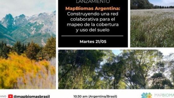Agenda forestal - Lanzamiento del MapBiomas Argentina Colección 1