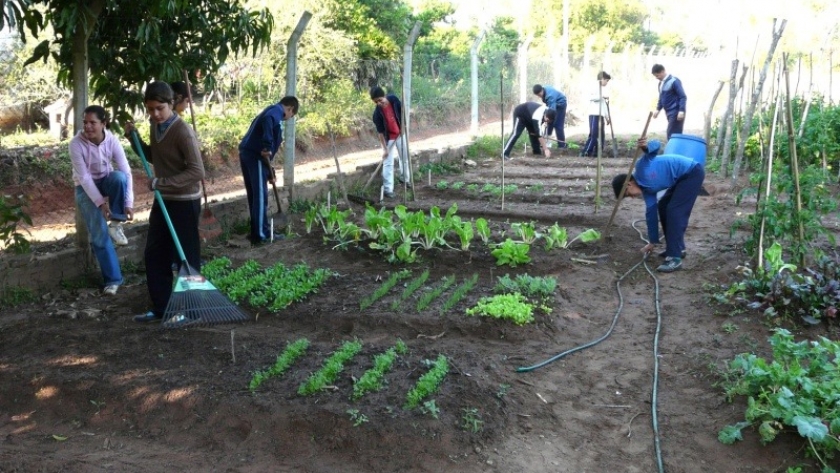 Financiarán emprendimientos productivos de jóvenes en ámbitos educativos rurales