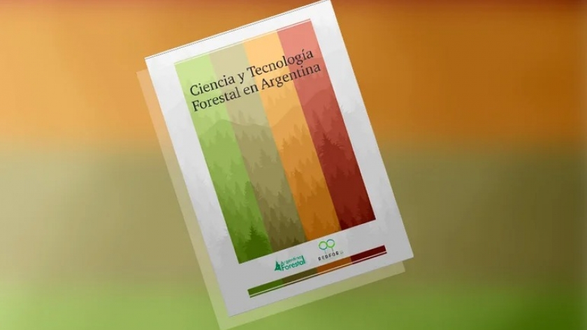 Presentaron un libro con investigaciones sobre industria forestal en Corrientes