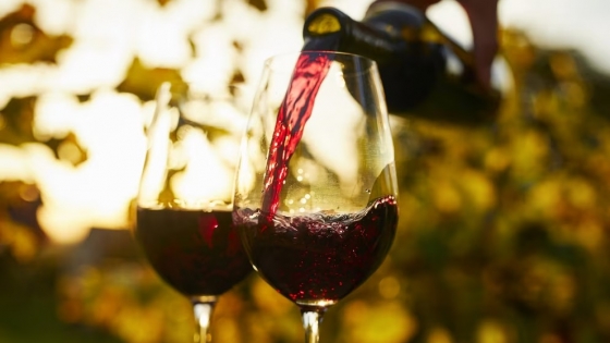 El consumo de vino en Argentina creció 6,5% en 2025 gracias al impulso del tinto