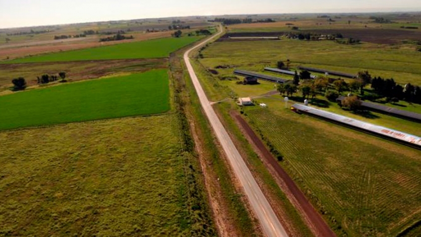 Arrendamientos agrícolas: la nueva campaña inicia con valores estables
