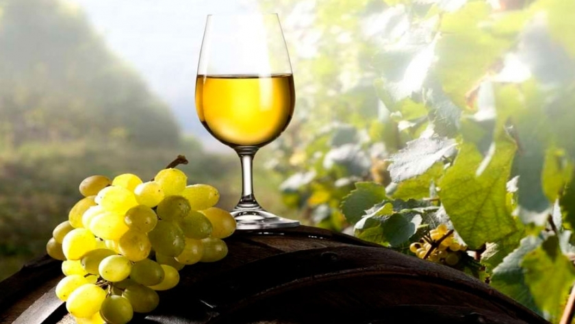 Se realizará la 12º Evaluación de Vinos del Noroeste Argentino