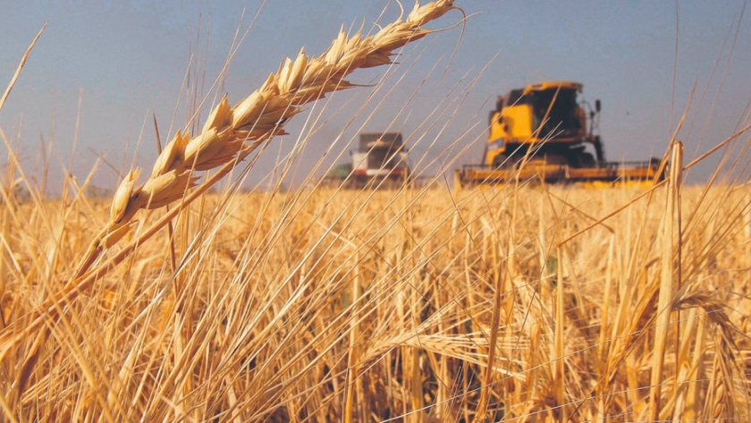 Pese al panorama actual, la economía mostró un leve repunte en julio