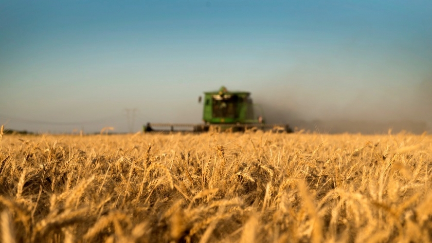Producción: más de $7.126 millones invertidos en líneas de crédito a tasa subsidiada