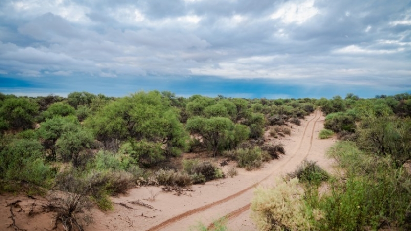 Ambiente supervisa la ejecución de Proyectos de Manejo de Bosques Nativos