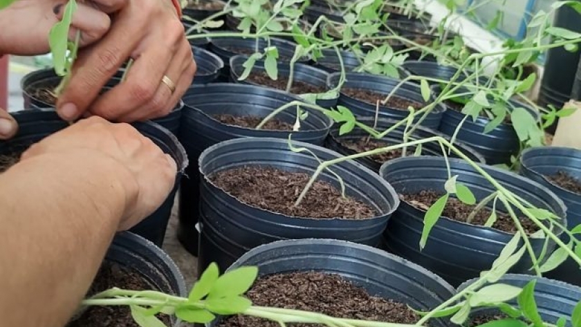 Investigación y desarrollo de tecnologías con bajo impacto ambiental