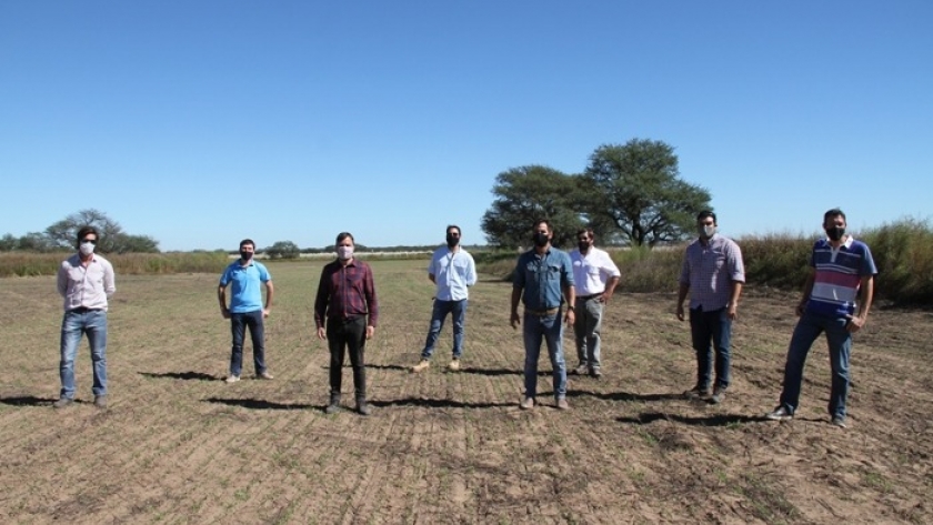 El Gobierno de la provincia cultiva alfalfa para disminuir el desbalance hídrico de la Cuenca del Morro