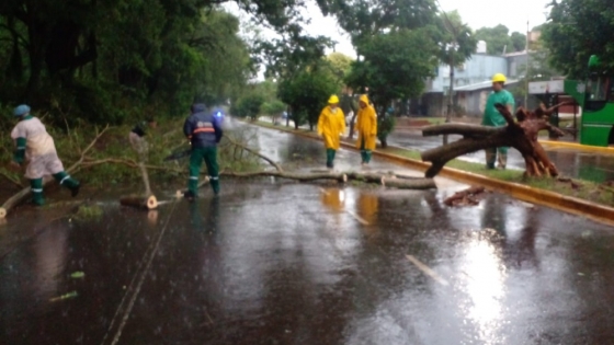 Posadas: El municipio activa operativo de emergencia luego del temporal 