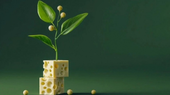 NewMoo crea caseína en plantas para elaborar queso sin moo
