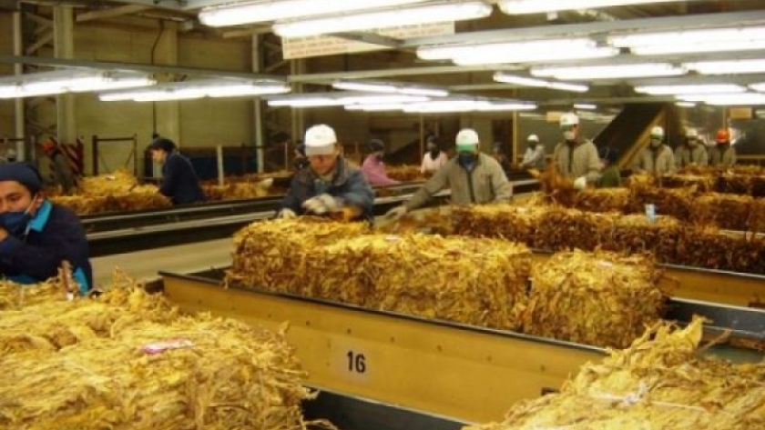 Precio provisorio para el tabaco Virginia