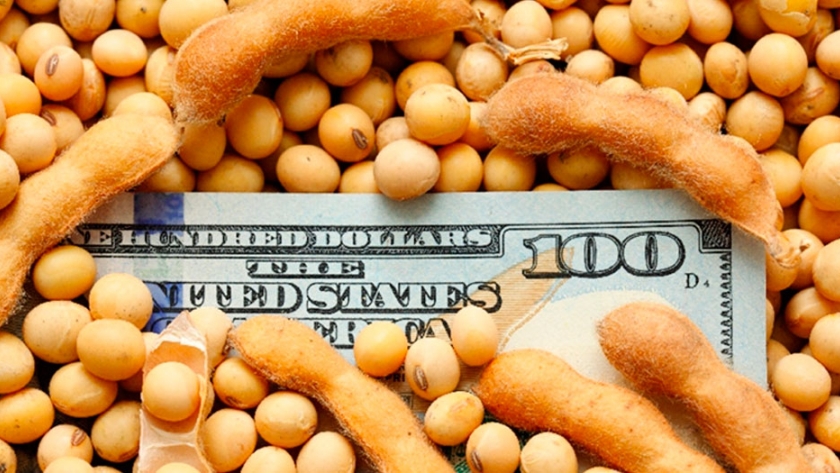 Alarma entre exportadores por el proyecto para congelar el dólar agropecuario