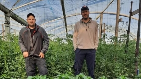 Hidroponia: usan piedras volcánicas de Neuquén para producir frutas y verduras