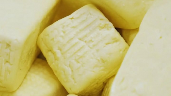 Revolucionario queso argentino reduce el colesterol y enriquece con vitamina E