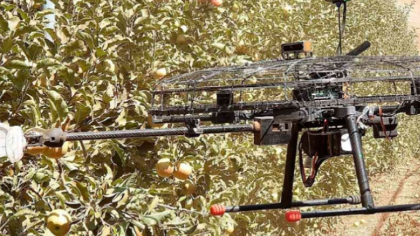 Automatización: ¿se viene la cosecha con drones?
