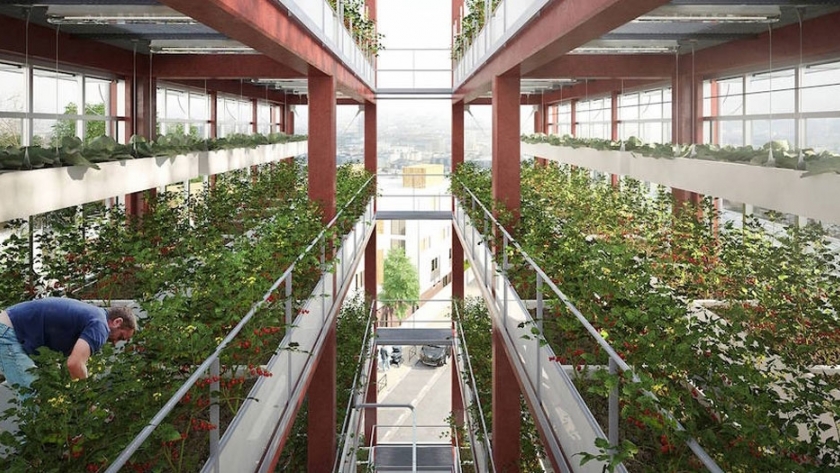 El futuro de la agricultura urbana se diseña en Francia