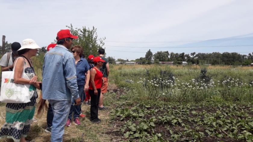 Fortalecimiento y Desarrollo de los Territorios Productivos del Periurbano de la Región Metropolitana de Buenos Aires, el Gran Rosario y el Gran Córdoba