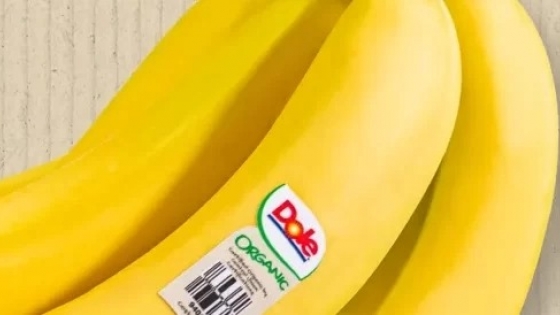 Dole, el gigante global de las frutas que mantiene operaciones en la Argentina y domina el negocio de las bananas