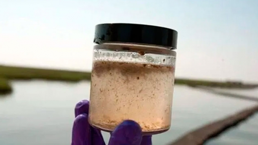 Investigadores platenses del Conicet trabajan para eliminar el arsénico del agua