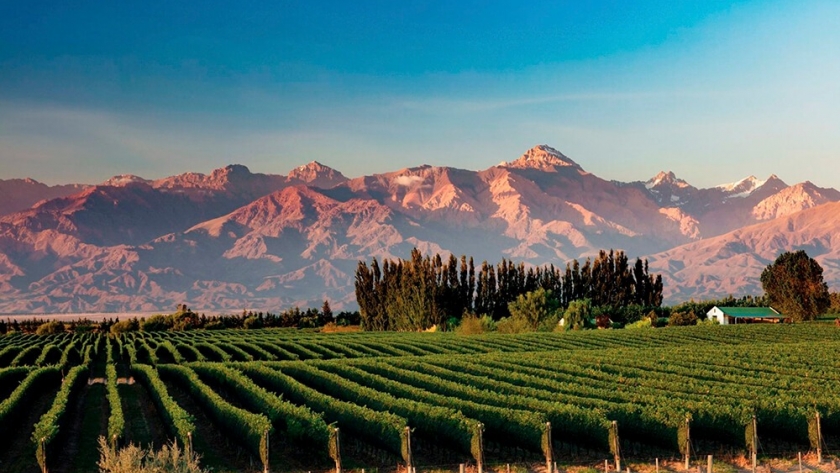Mendoza será sede de la Conferencia Anual de las Grandes Capitales del Vino