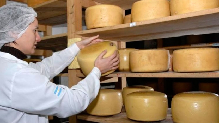 Recomiendan el consumo de quesos autorizados y rotulados