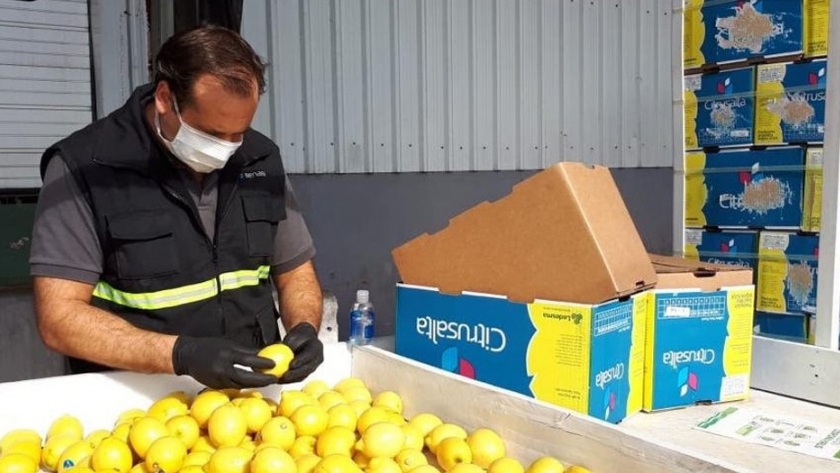 Más de 1300 profesionales se capacitaron para exportar productos agrícolas a EE.UU.