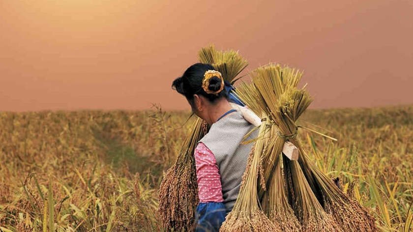En China crece y se controla el campo del futuro