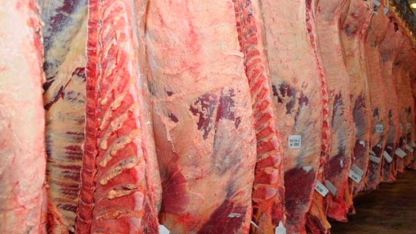 Carne argentina a Colombia: Agricultura distribuyó el cupo entre seis frigoríficos