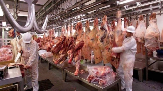 Argentina amplía su acceso al mercado de EE.UU. y fortalece las exportaciones de carne en 2026