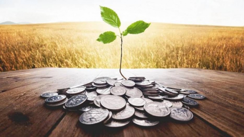 Bonos verdes: una alternativa para las empresas al momento de fondearse