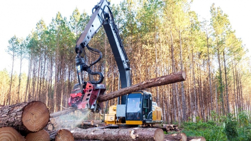 Formosa avanza en digitalizar y optimizar la trazabilidad de los productos forestales