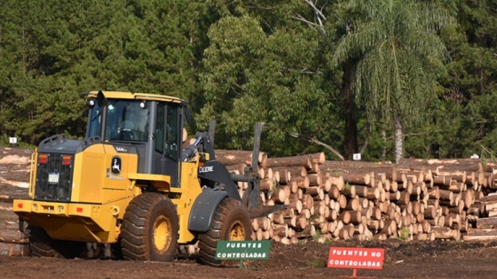 La certificación PEFC, las estrategias para agregar valor a la madera y la producción de biomasa ganan espacio en la agenda de las PyMEs