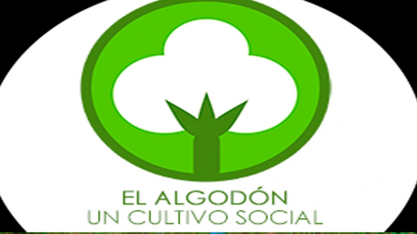 Procalgodón