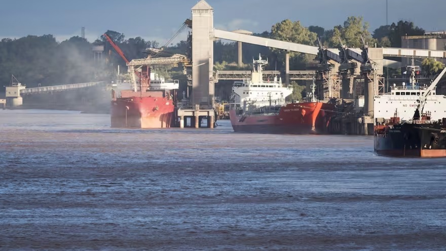 Bunge lideró las exportaciones de granos en el primer semestre tras integrar las operaciones de Viterra  Bajada: La compañía encabezó