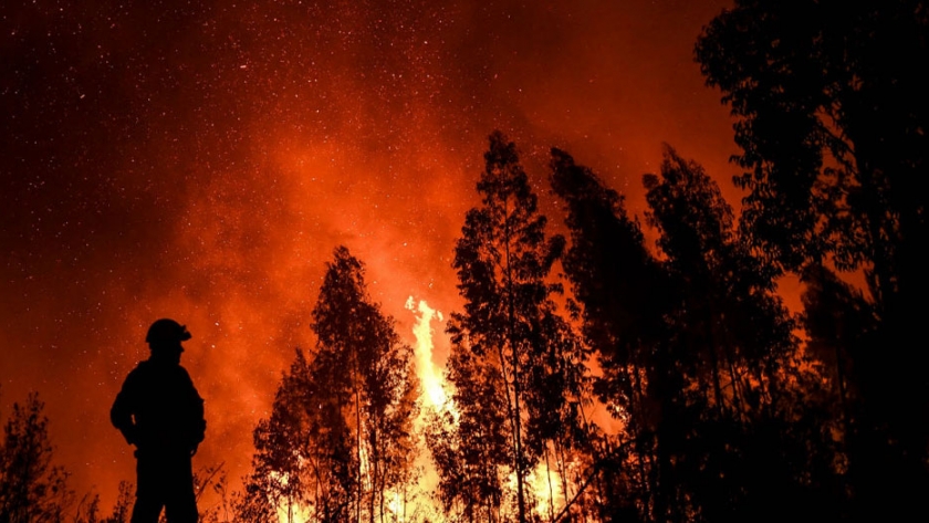 Conocé qué es el índice de peligros de incendios