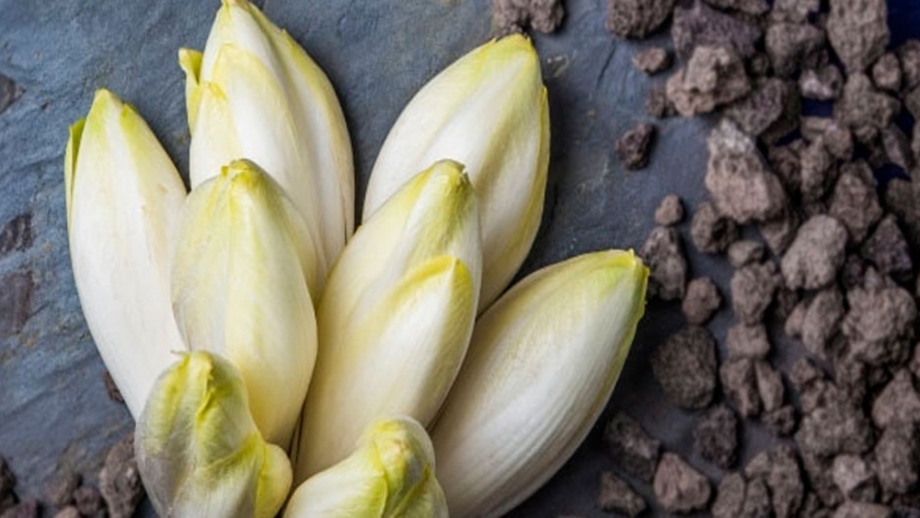 Endivias, el crujido vegetal que surgió en el siglo XIX