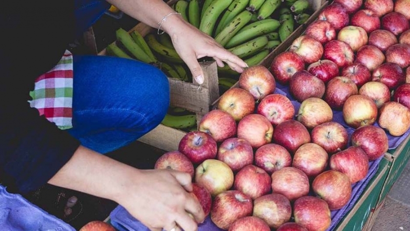 Sabe la Tierra: el mercado de productos orgánicos estará en diferentes barrios durante febrero