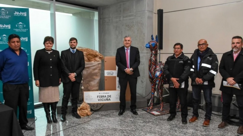 El Gobernador Morales despachó el primer embarque de fibra de vicuña a Italia