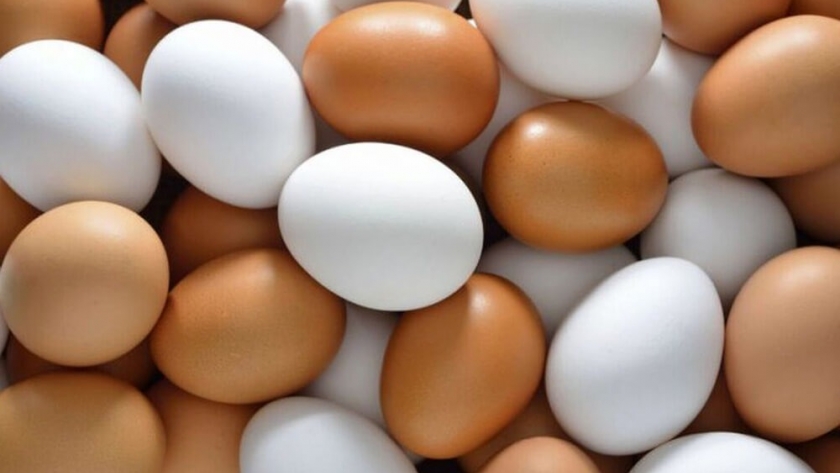 Huevo, el alimento reconocido a nivel mundial como fuente de proteínas de bajo impacto ambiental