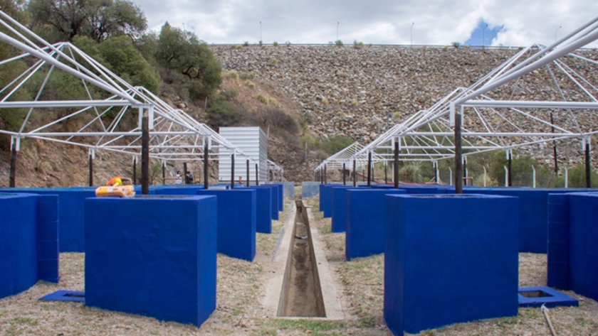 San Luis Agua trabaja en la puesta en valor de la estación de piscicultura de Río Grande