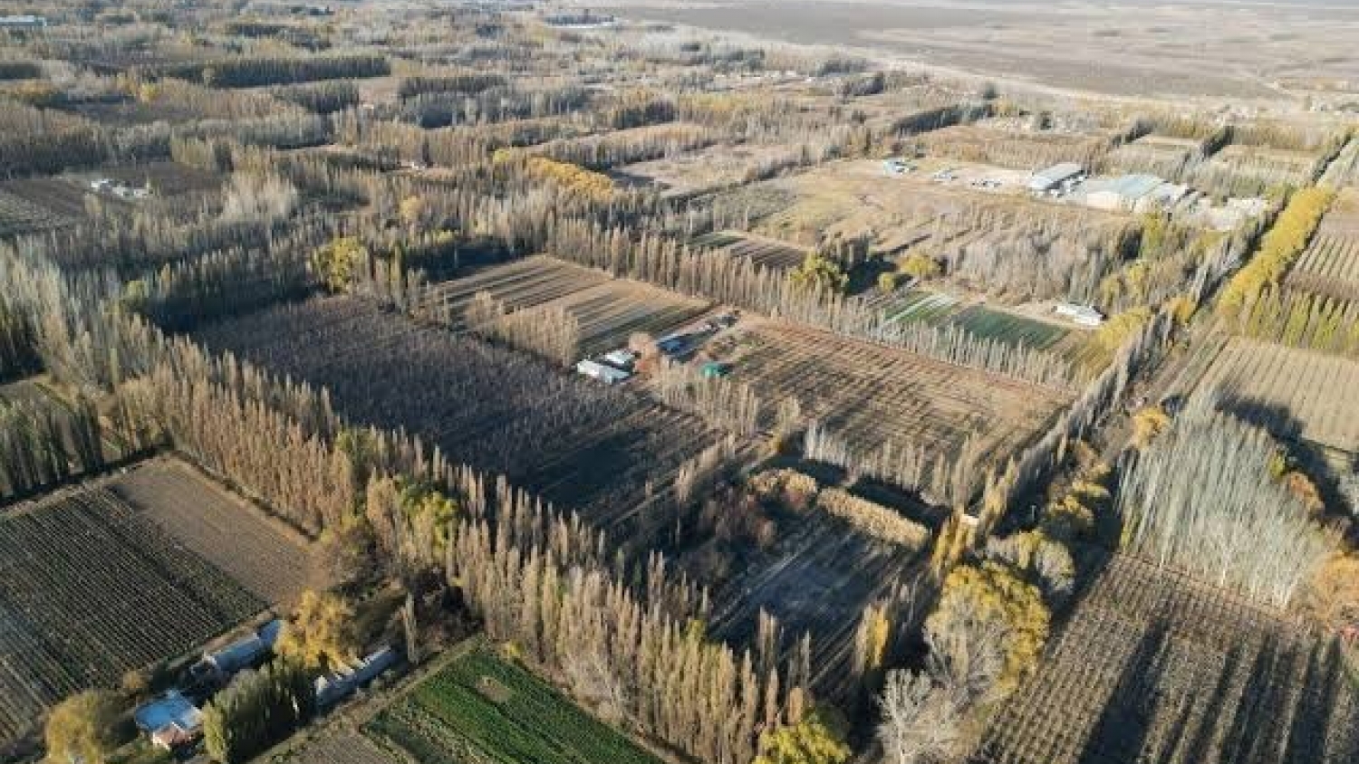 Agro en Plottier: producción hortícola y desarrollo urbano