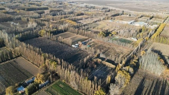 Agro en Plottier: producción hortícola y desarrollo urbano