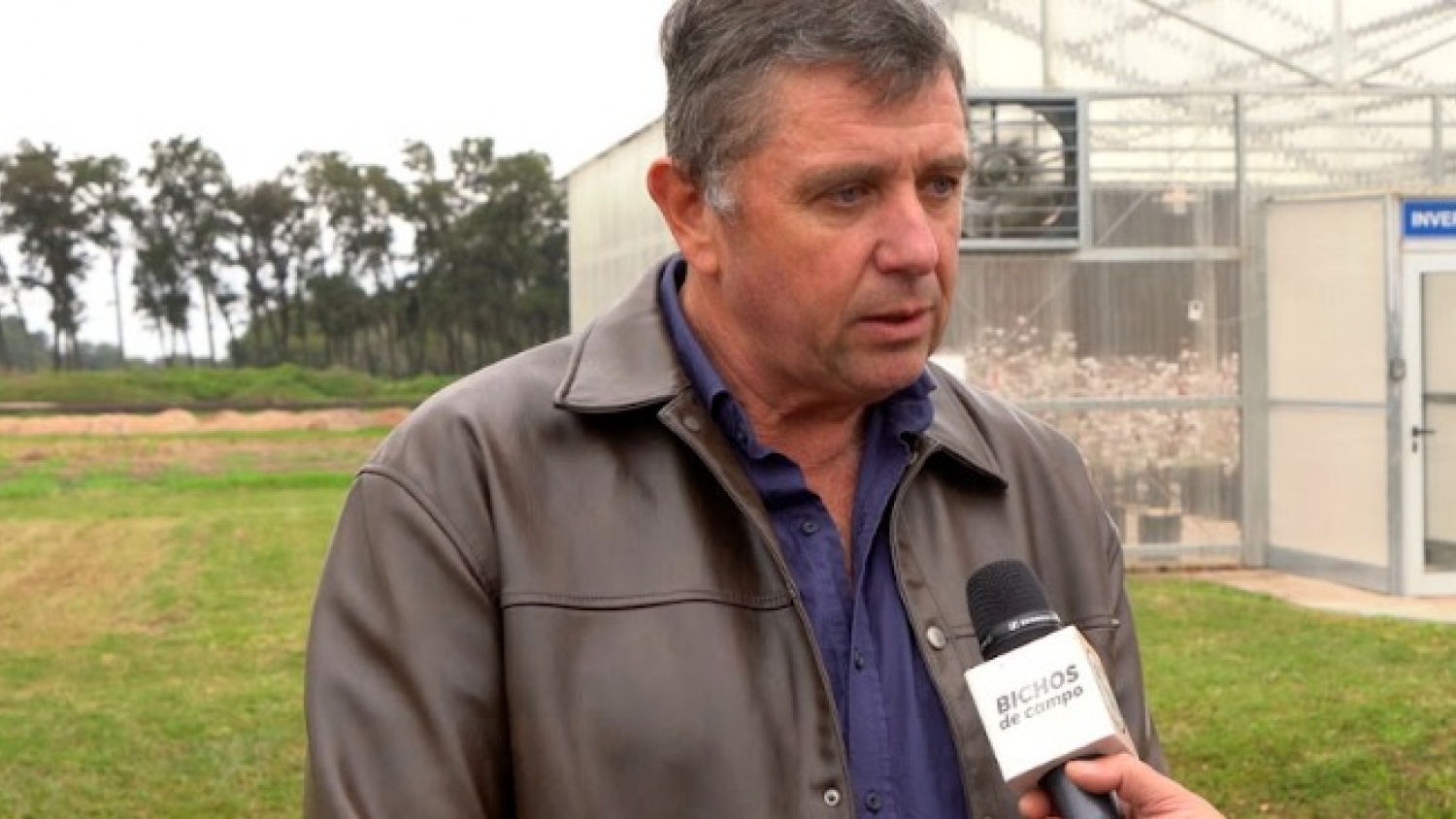 Algodón en alerta: un productor chaqueño advierte que las derivas de herbicidas pueden ser más difíciles que el picudo