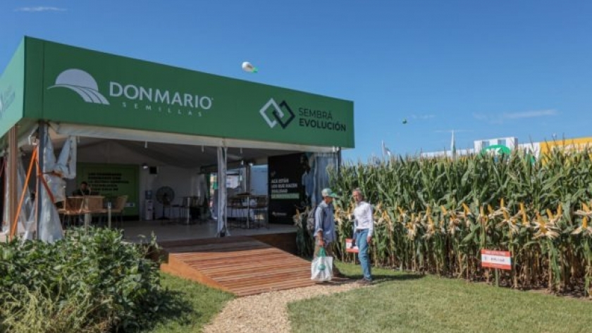 DONMARIO pisó fuerte en maíz y apostó a Sembrá Evolución en Expoagro