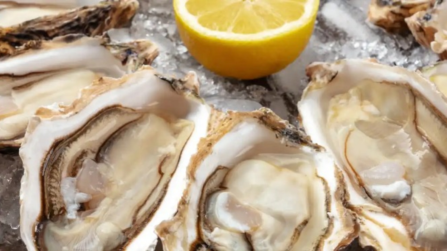 CONICET convierte una especie invasora en salsa de ostras argentina