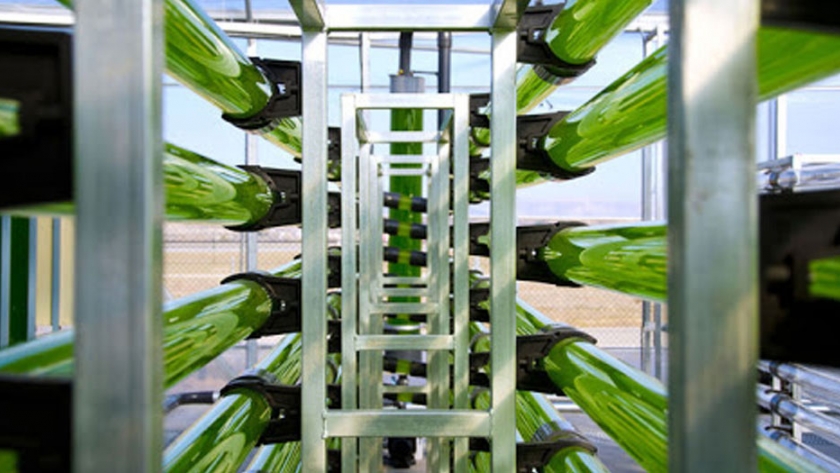 Agricultura de ciencia ficción