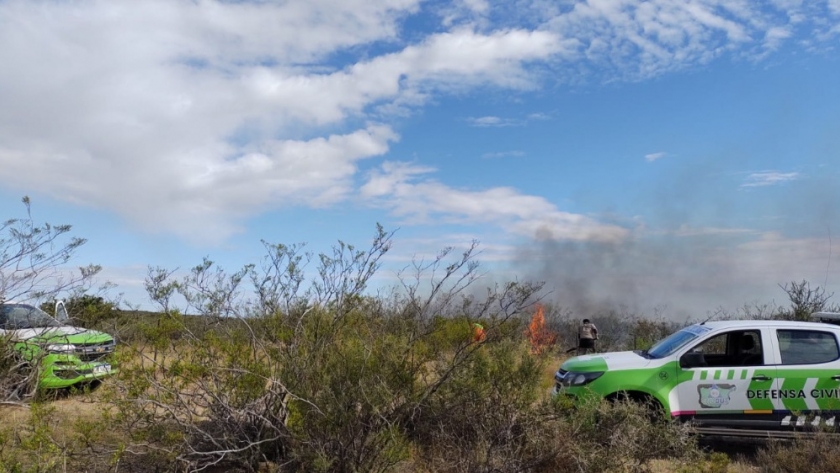 Defensa Civil extinguió incendio que afectó 90 hectáreas en el establecimiento 