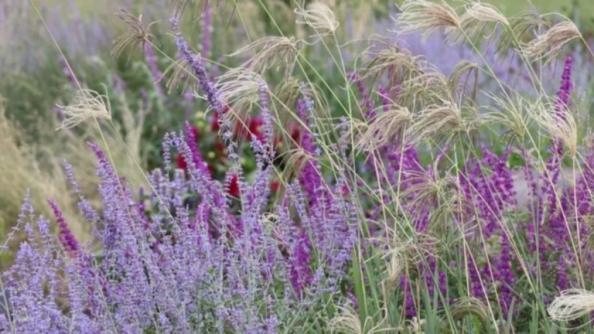 Paisajismo: cómo tener un buen criterio de diseño a la hora de elegir las plantas para el jardín