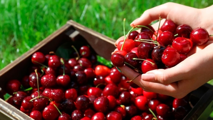 Uvas y cerezas argentinas desembarcan en Tailandia