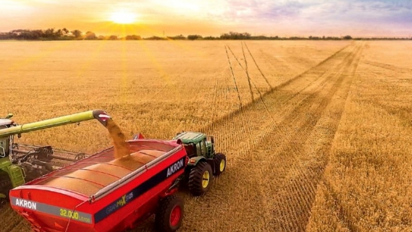 Exportaciones de trigo de la campaña 2021-22 aportarían 30% más de divisas